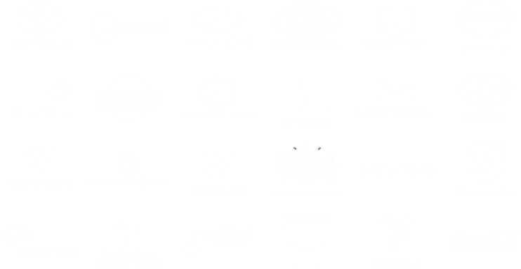 Plactech Autosafe Clients